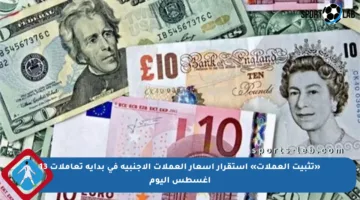 «تثبيت العملات» استقرار أسعار العملات الأجنبية في بداية تعاملات 13 أغسطس اليوم